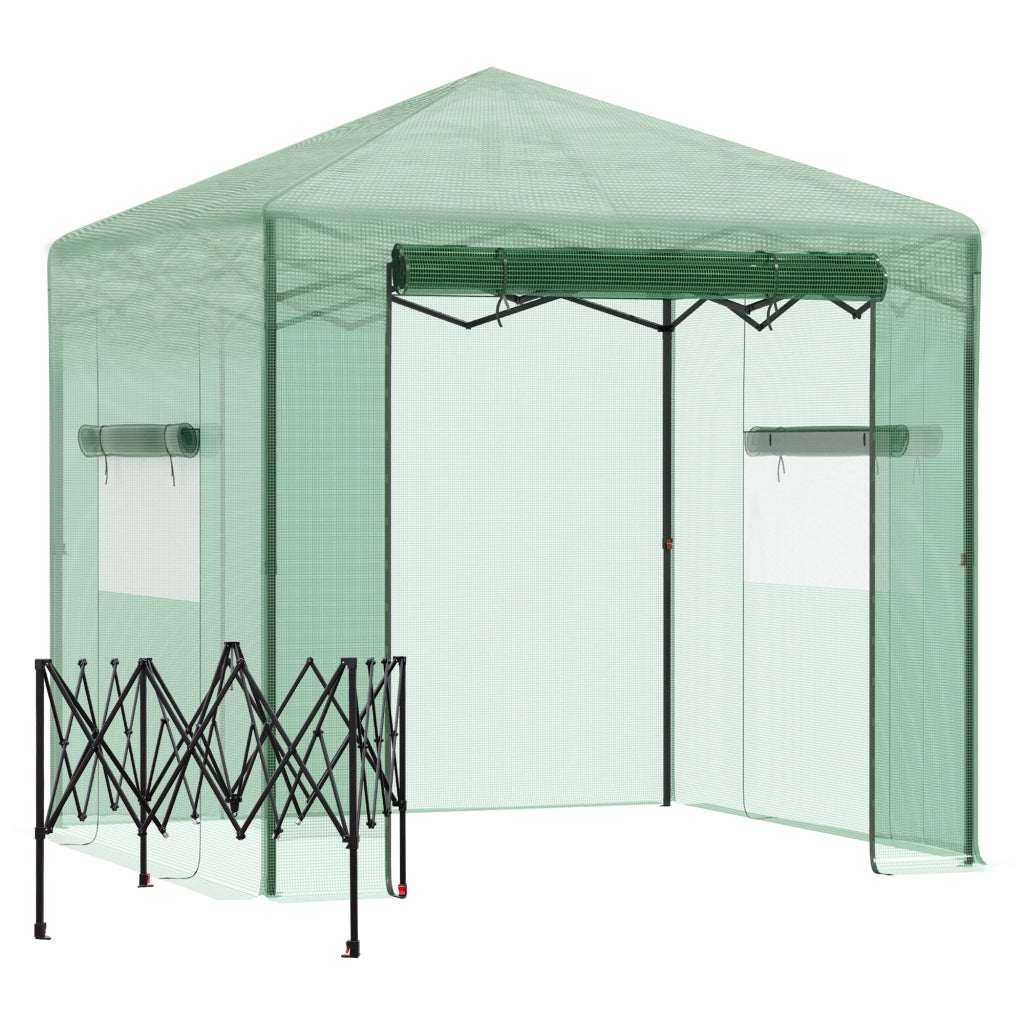 Serra/Serra per pomodori con porta e finestra avvolgibili, in acciaio PE, verde scuro, 238 x 178 x 240 cm, per una coltivazione ottimale delle piante.