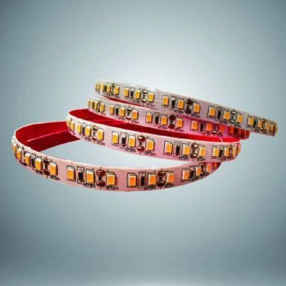 Trade Shop - Striscia Led 2835 Strip Bobina 10 Metri 24volt 100 Watt Adesivo 2835-24v-10m-120 - -bianco Freddo      -