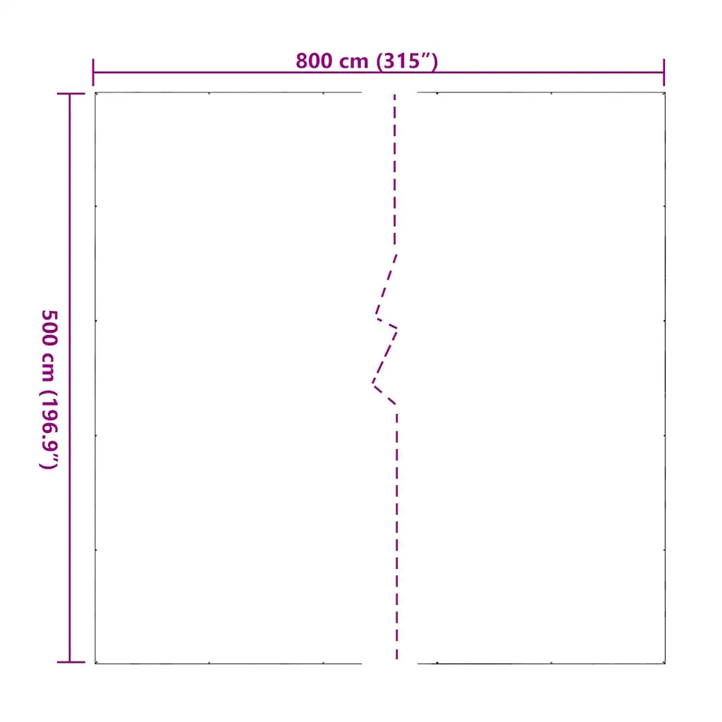 Telone Trasparente con Occhielli 5x8 m in PVC 4018614