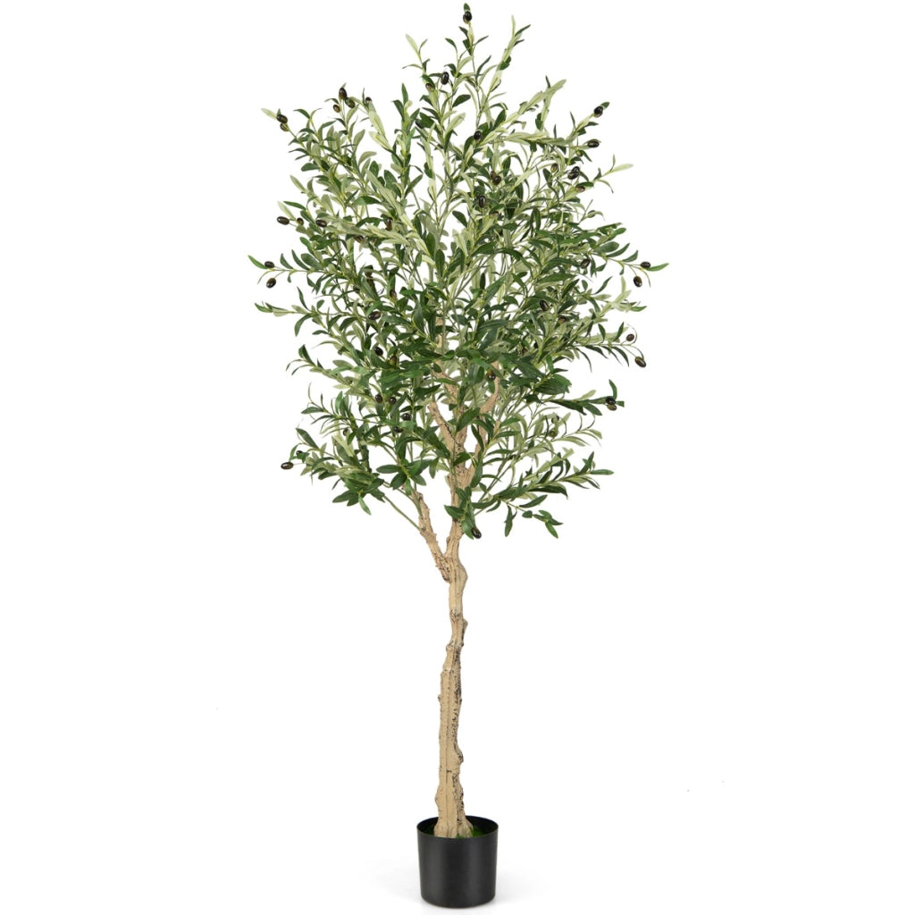 Ulivo artificiale 182cm con 1296 foglie 72 frutti, Ulivo finto in vaso di cemento per ufficio casa-Piante artificiali