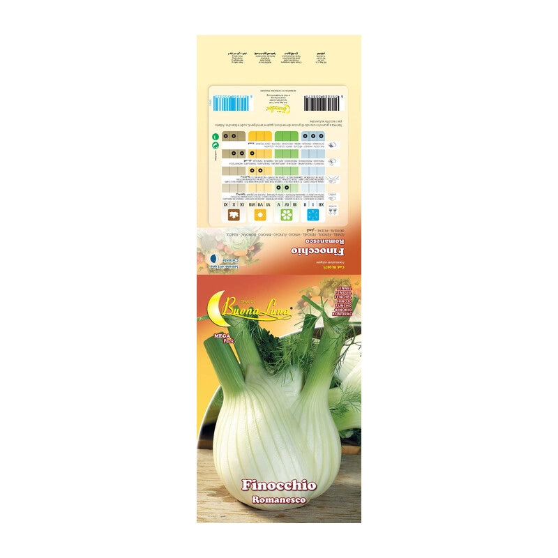 SEMI ORTO FINOCCHIO ROMANESCO- 10,0 pz