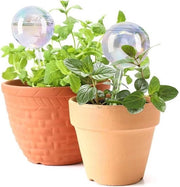 Set di palline autoirriganti in vetro per piante (lotto da 2) - regalo per appassionati di piante