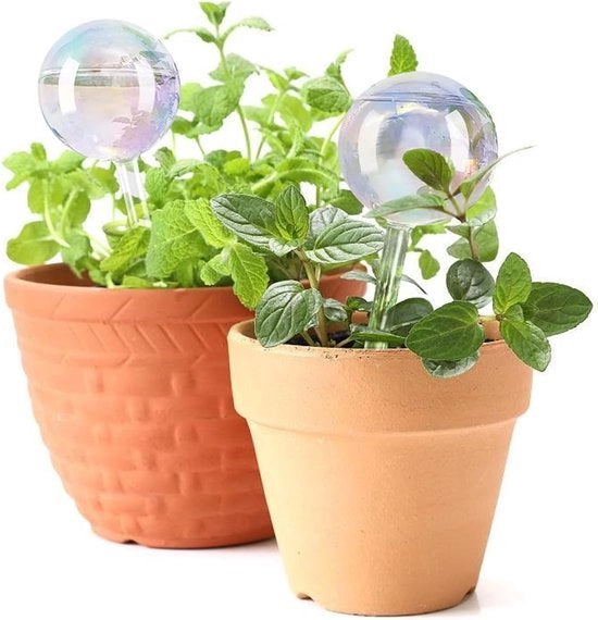 Set di palline autoirriganti in vetro per piante (lotto da 2) - regalo per appassionati di piante