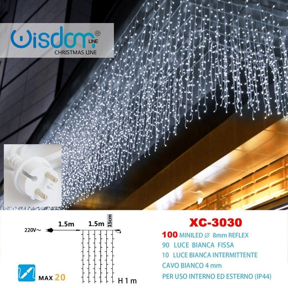 Trade Shop - Tenda Luminosa Natalizia 100led Luce Bianca Fissa + Bianca Intermittente Xc-3030 -