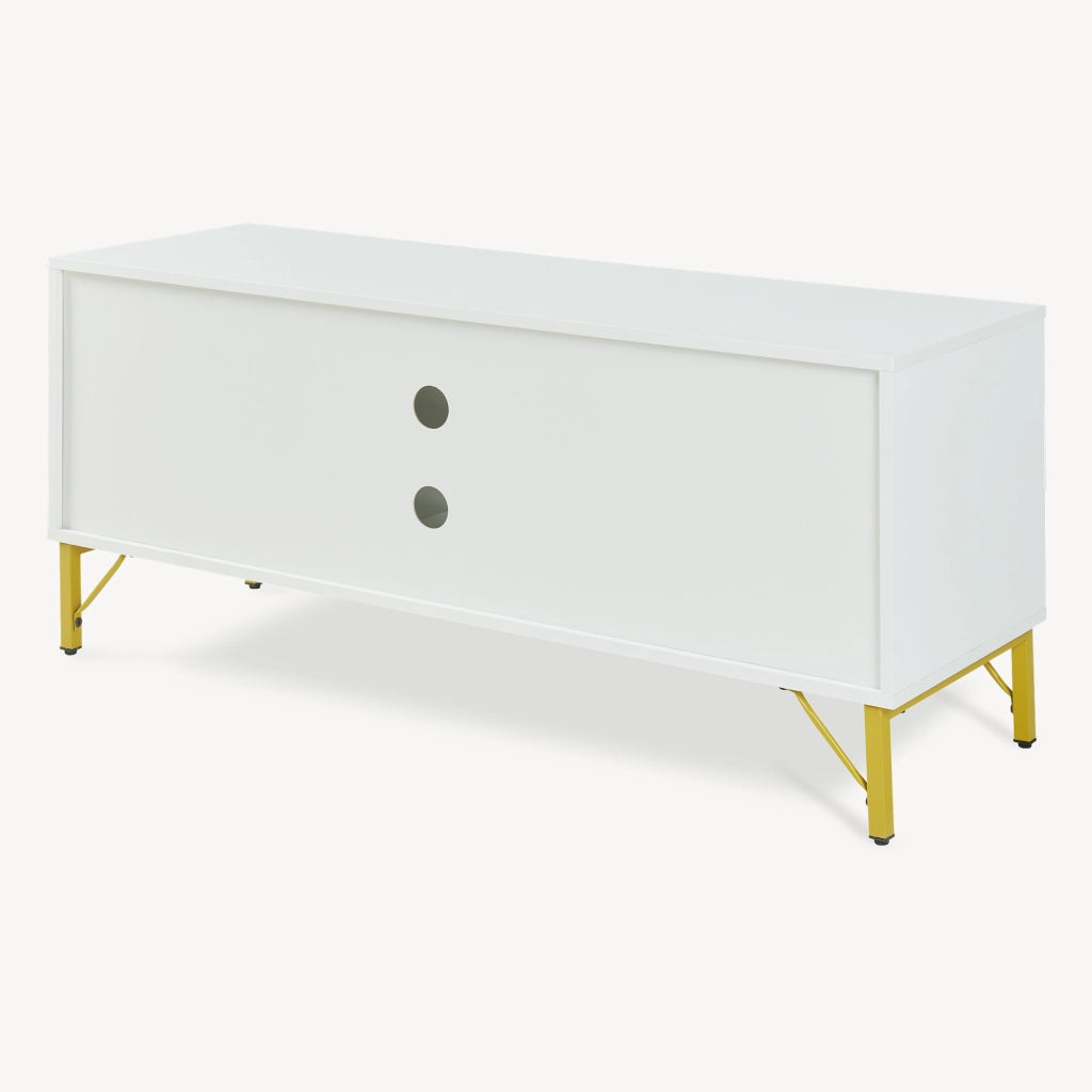 Mobile Porta TV Reyri a 2 Ante e 2 Vani Aperti 120 x 39 x 52 cm - Bianco/Dorato [en.casa]