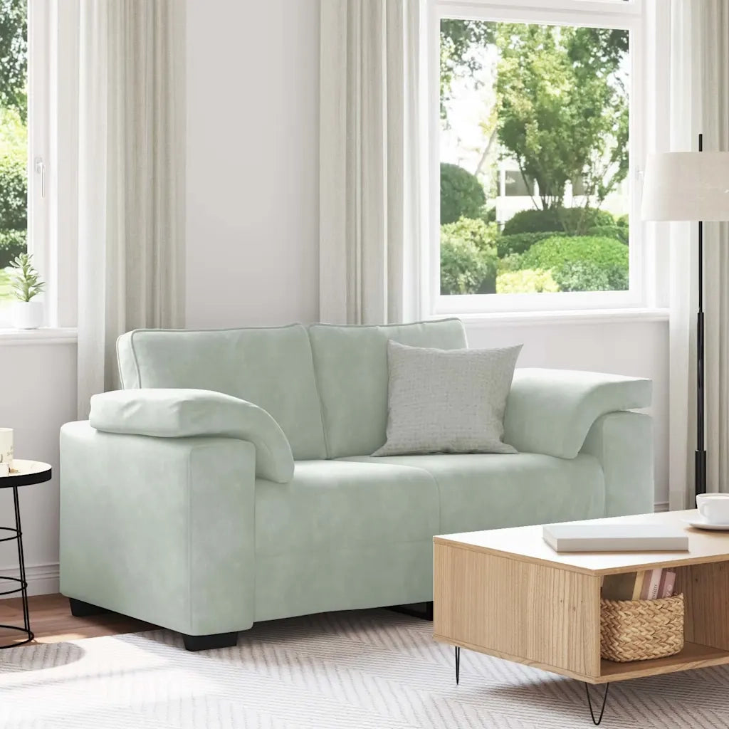 Divano | Divano da soggiorno | Sofa Divanetto Grigio Chiaro 160x77x82 cm in Velluto