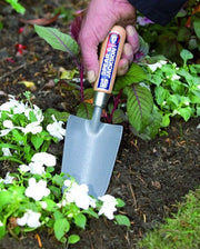 Piante di carbonio Neverbend plantschep