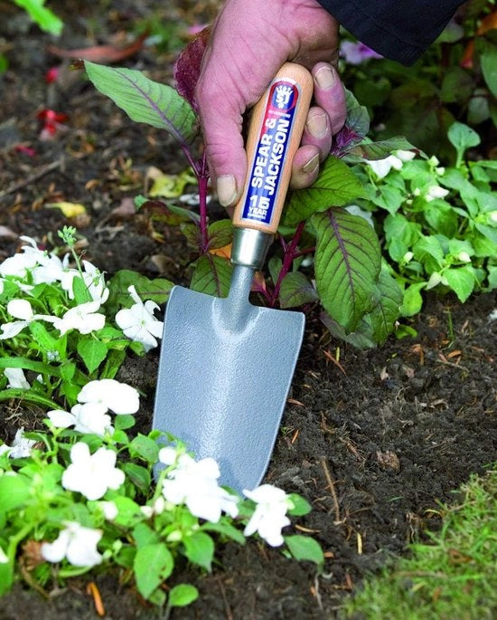 Piante di carbonio Neverbend plantschep