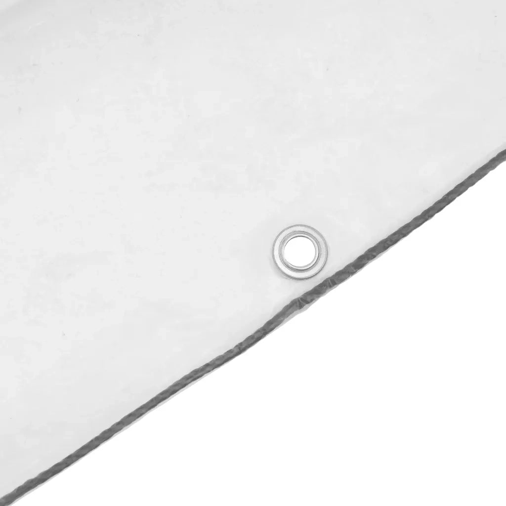Telone Trasparente con Occhielli 6x10 m in Polietilene 4018531