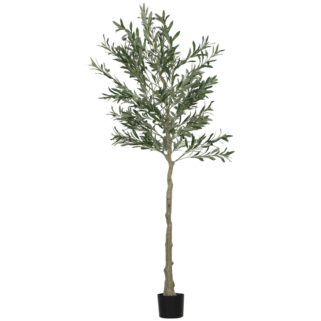 Albero di Olivo Artificiale 180cm ¨C zephmum ¨C Verde con Vaso