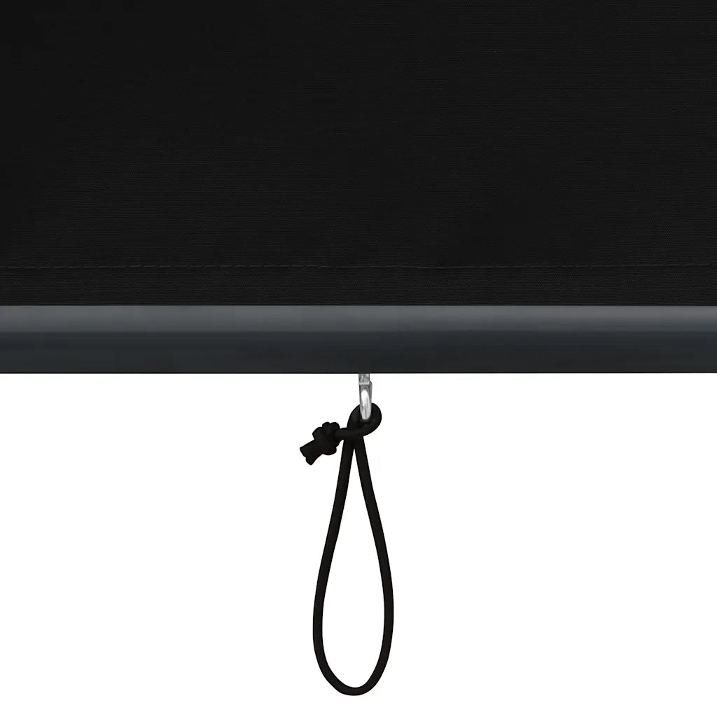 Tenda a rullo | Tenda avvolgibile per Esterni 160x250 cm Antracite