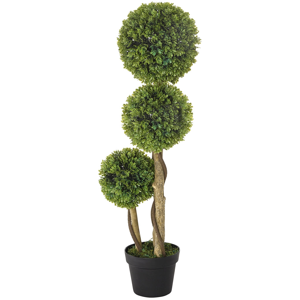 Pianta Artificiale Bosso ¨C Xylo ¨C Verde + Nero per Esterno
