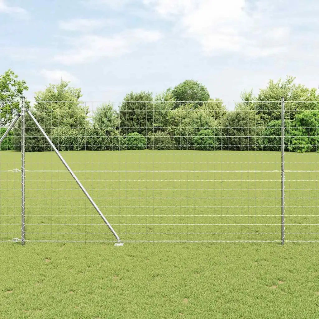 Recinzione da Giardino | Recinzione con Posto Argento 1,6 x 10 m Acciaio