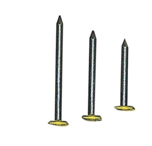 CHIODI PER QUADRI TESTA RICOP OTT 2X30 MM DA 100 PZ- 10,0 confezione