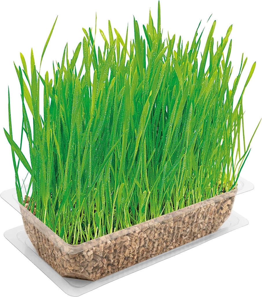 VITAKRAFT ERBA GATTA PRONTA IN CONFEZIONE D A 120 GR