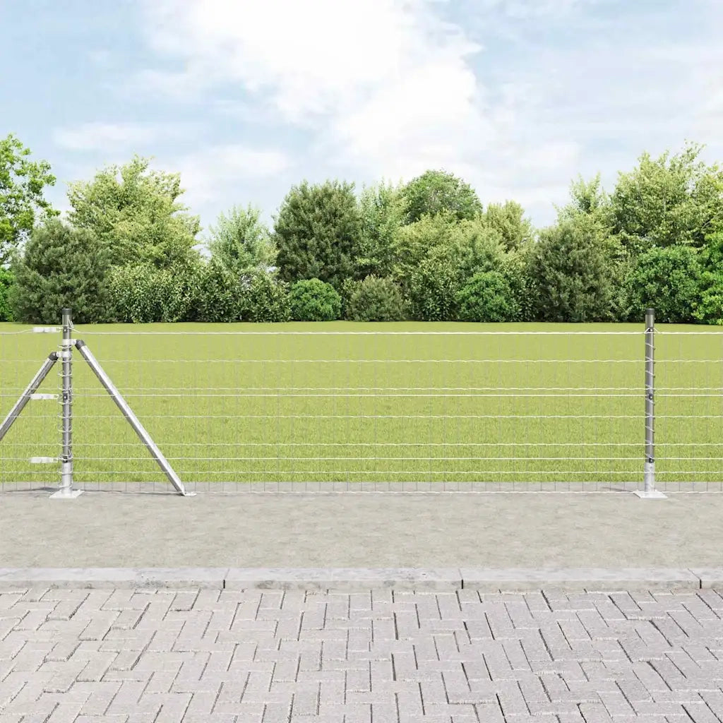 Recinzione con Posto Argento 0,4 x 25 m Acciaio