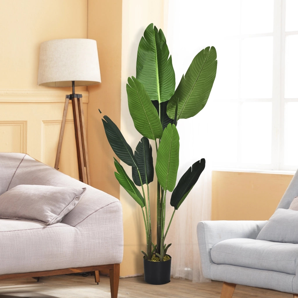 Palma tropicale artificiale con vaso nero, Finto bonsai da interno con 10 foglie realistiche, 160 cm-Piante artificiali