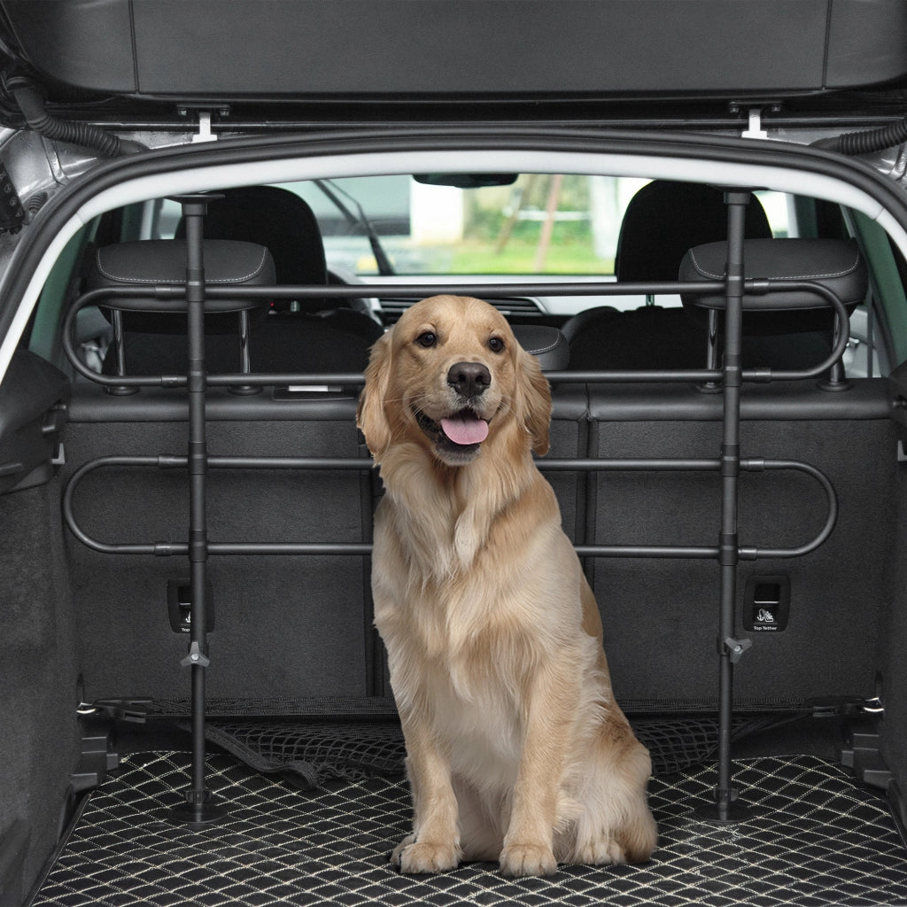 Cancelletto di sicurezza per cani ¨C Xylo ¨C estensibile acciaio nero