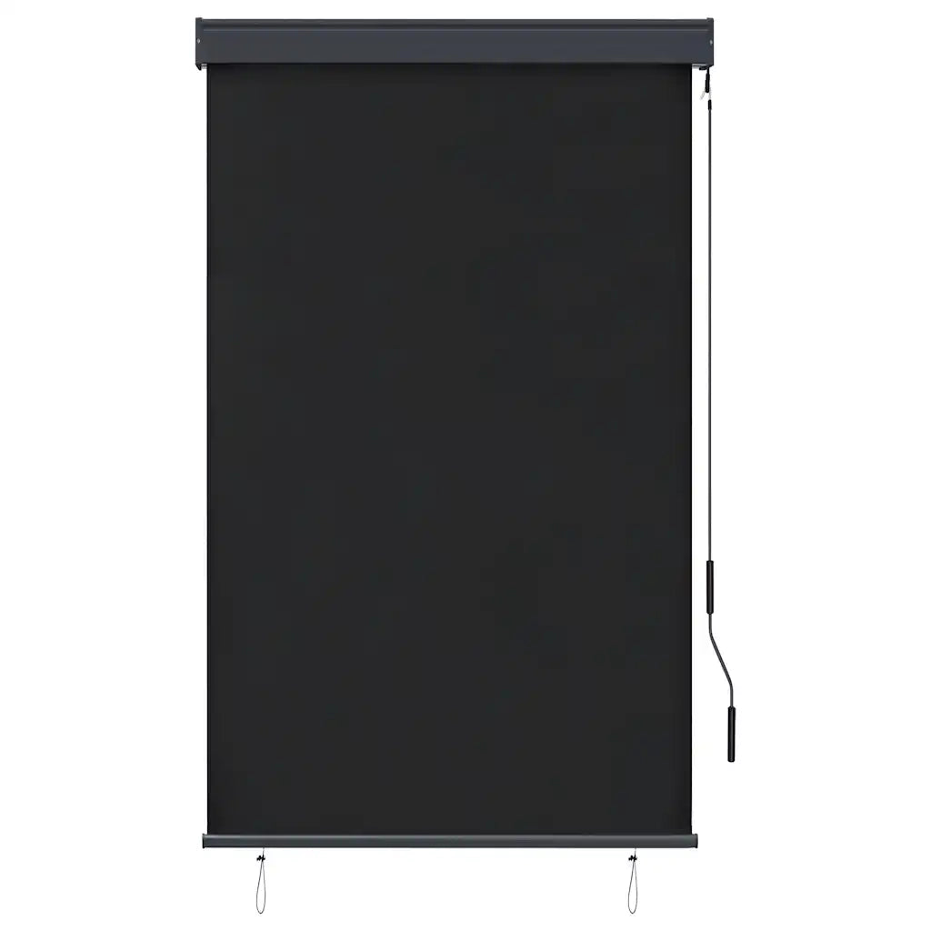 Tenda a Rullo per Esterni 100x250 cm Antracite 145958