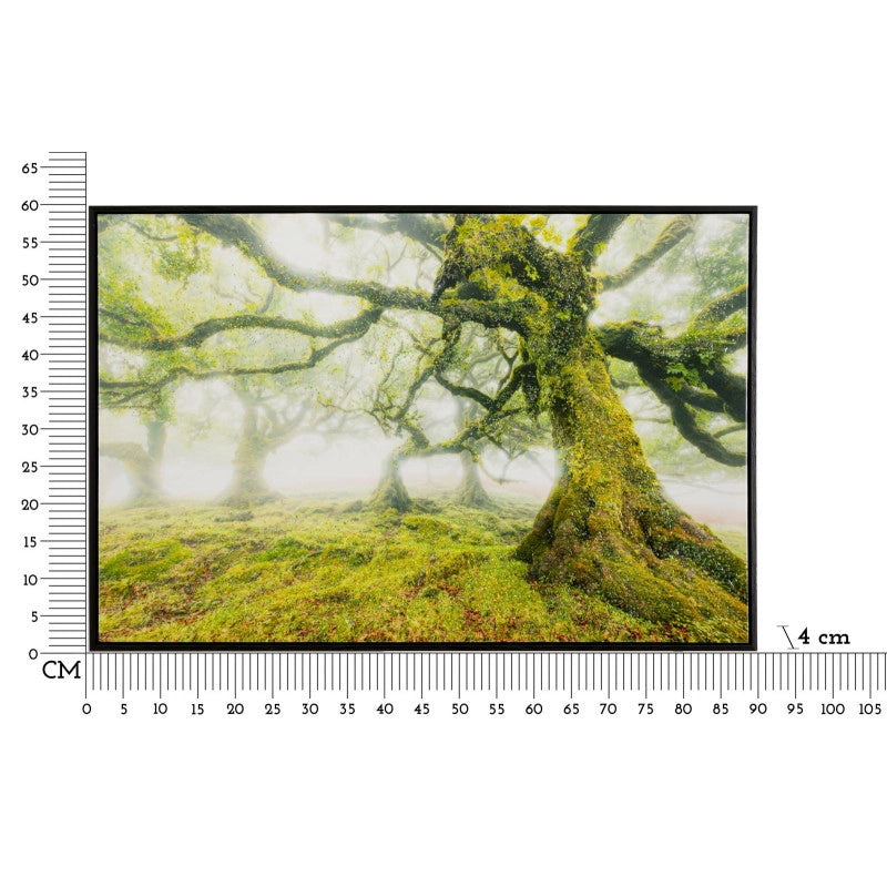 Stampa Su Tela Laccata Con Cornice Foresta cm 90x4x60