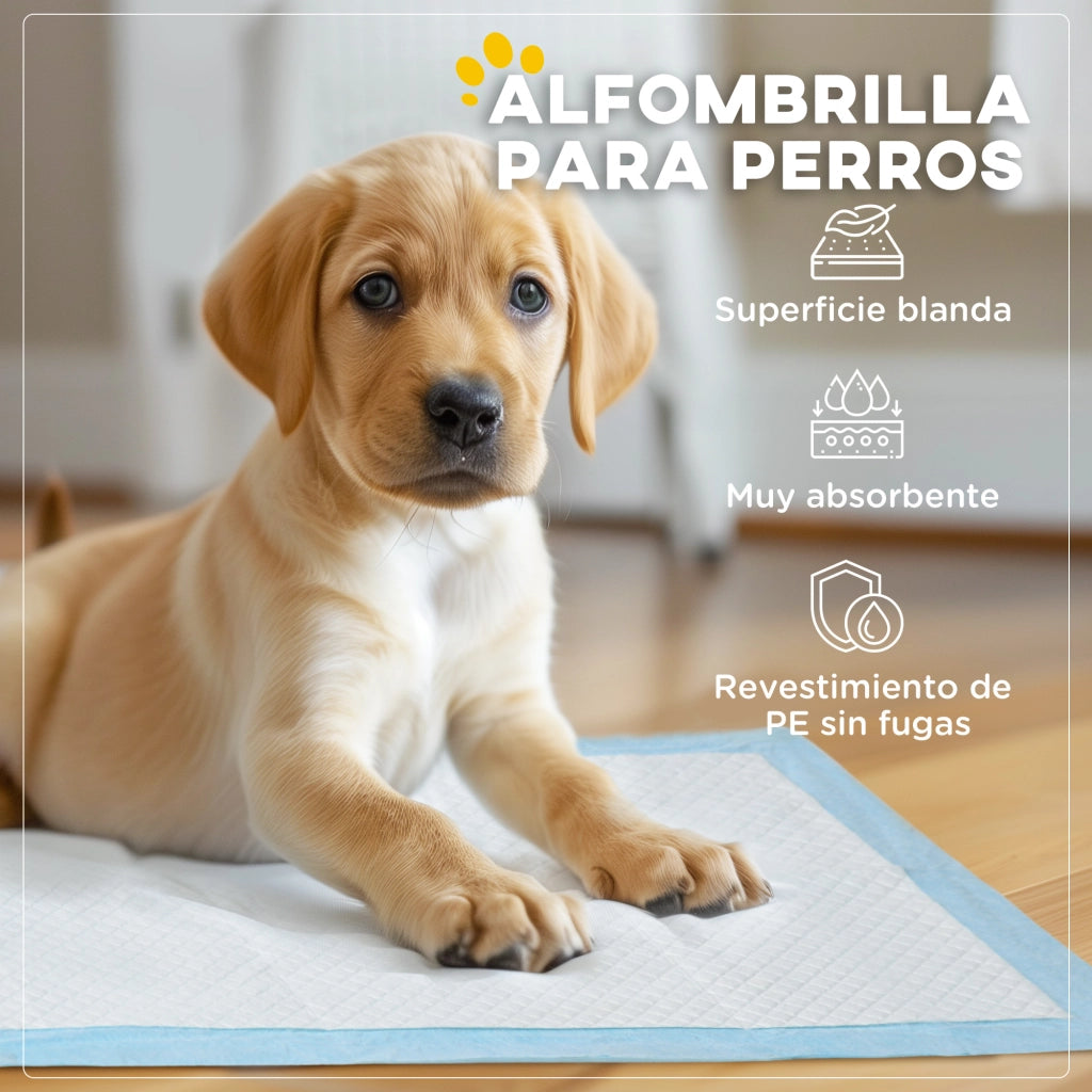 Tappetino Assorbente per Cani ¨C Minimal ¨C 60x60 cm Blu 6 Strati Antifuga