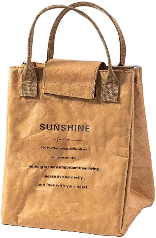 Borsa da picnic per donne/uomini, facile da pulire, borsa da picnic riutilizzabile, contenitore da picnic, borsa da picnic isolata, impermeabile, rivestimento termico e tessuti duraturi | Design semplice