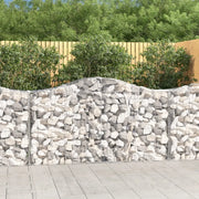 Cesti Gabbioni ad Arco 12 pz 200x50x100/120 cm Ferro Zincato 3145650