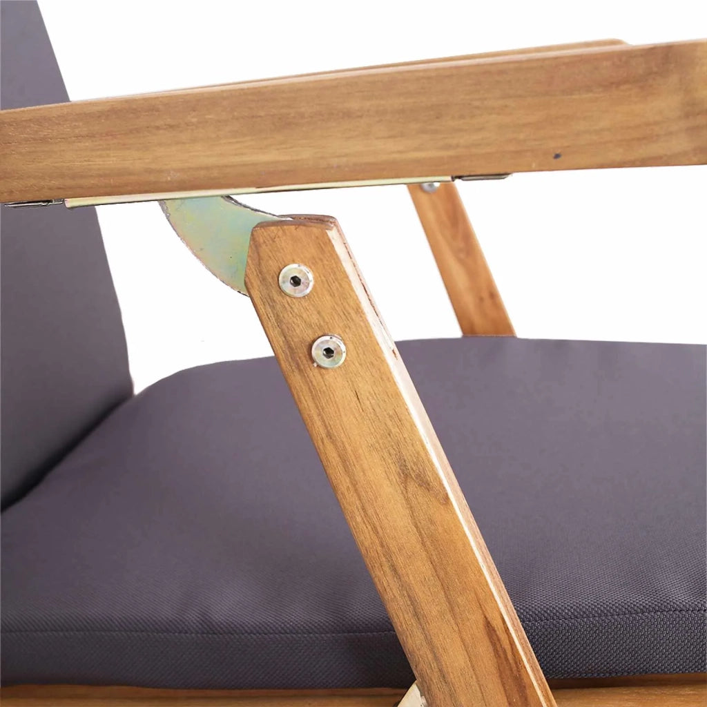 Sedia a sdraio pieghevole con cuscino Grigio Scuro 42030523