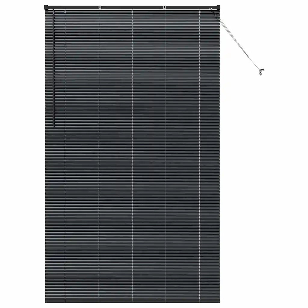 Tendaggi a Veneziana | Tenda a lamelle Nero 220 x 125 cm Alluminio