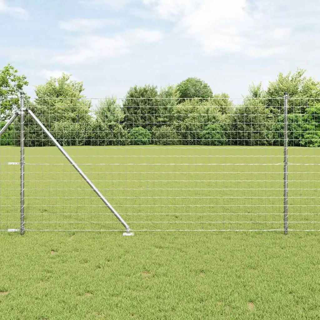 Recinzione con Posto Argento 1 x 25 m Acciaio