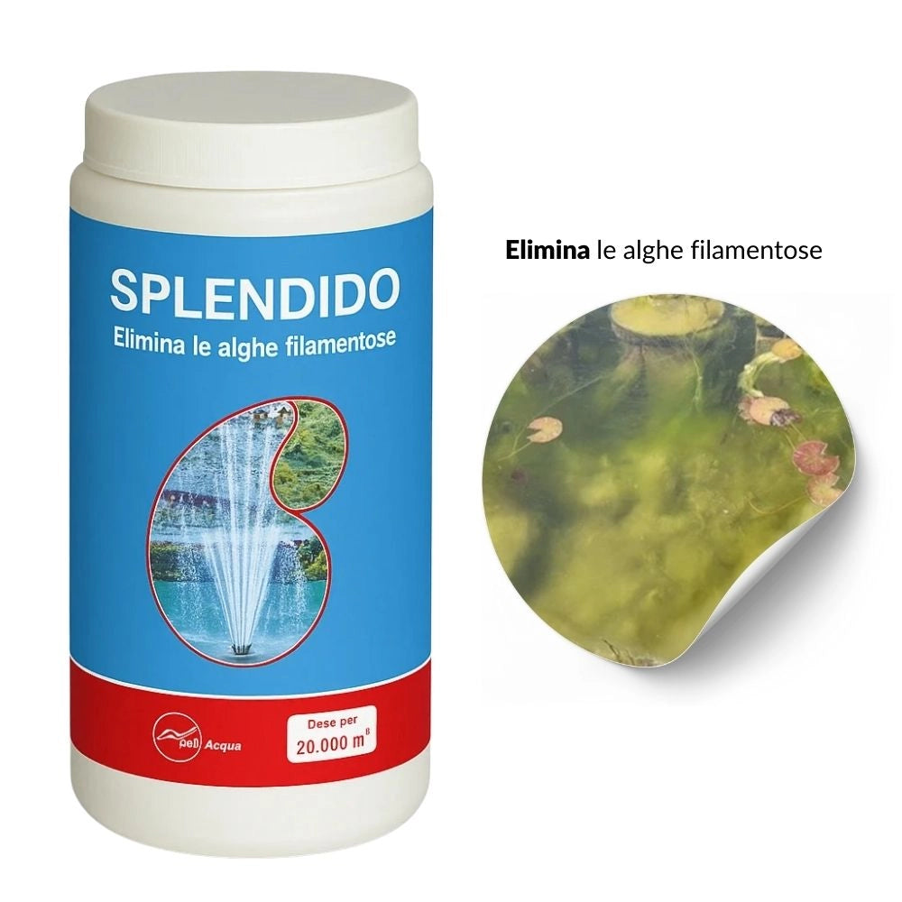 6 pezzi antialghe splendido per laghetto in polvere dose per 120000 litri