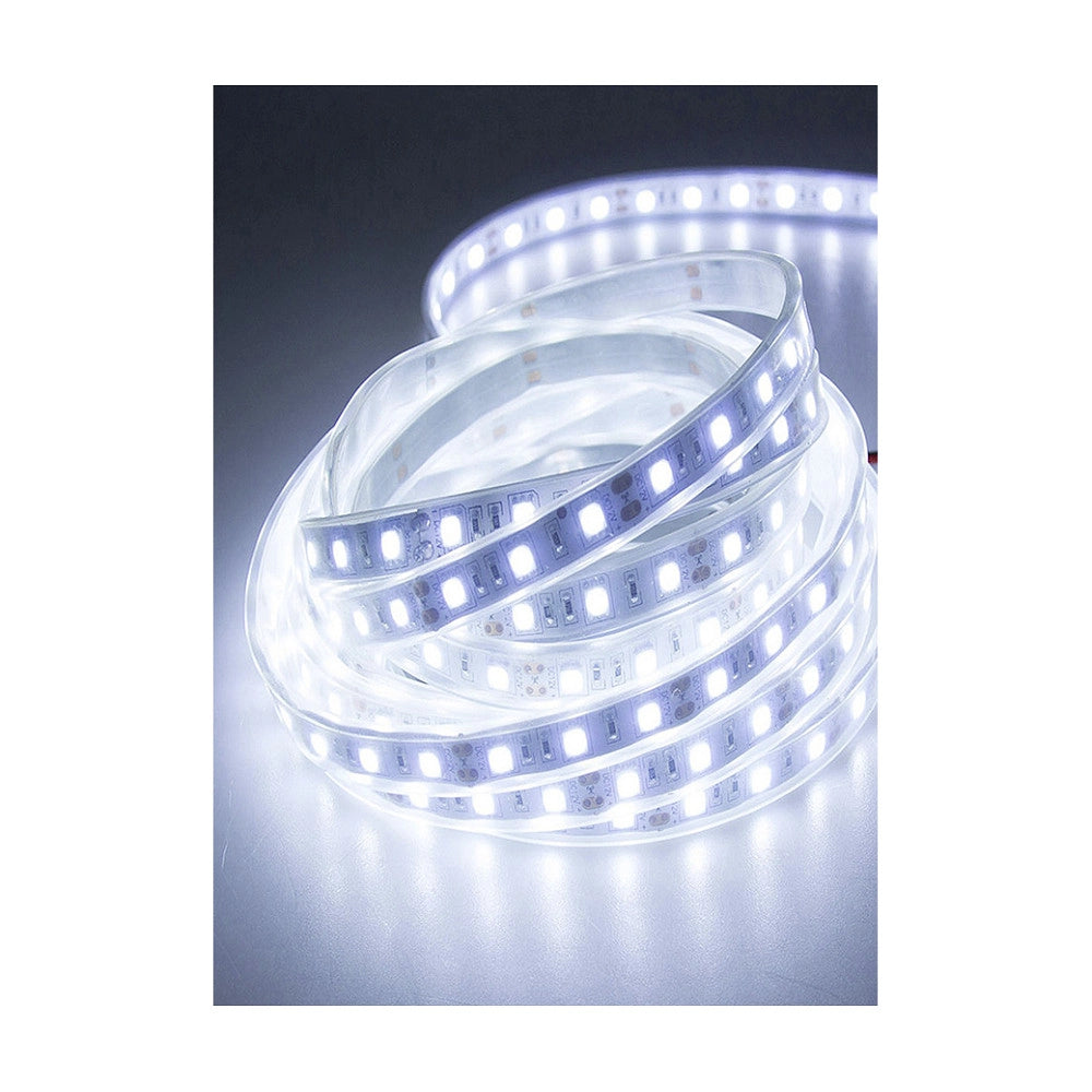 Trade Shop - Strisce Led Gommate 2835 144d 10mm 100mt 220v Vari Toni Di Colori Luce 2835smd -