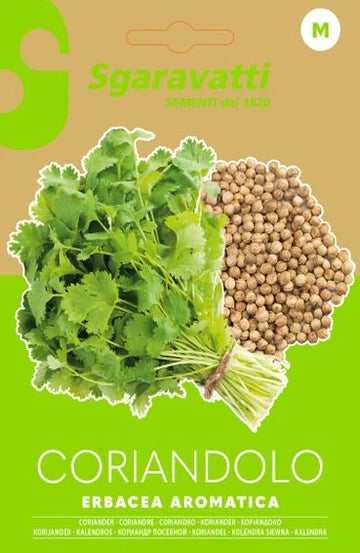 SEMI PER ORTAGGI E VEGETALI coriandolo- 10 pezzi  - SGARAVATTI