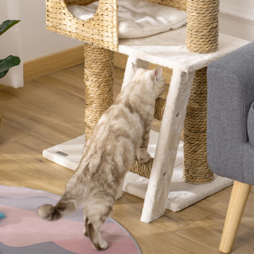 Albero per Gatti con Cuscini e Scala ¨C Minimal ¨C Grigio 100.5 cm