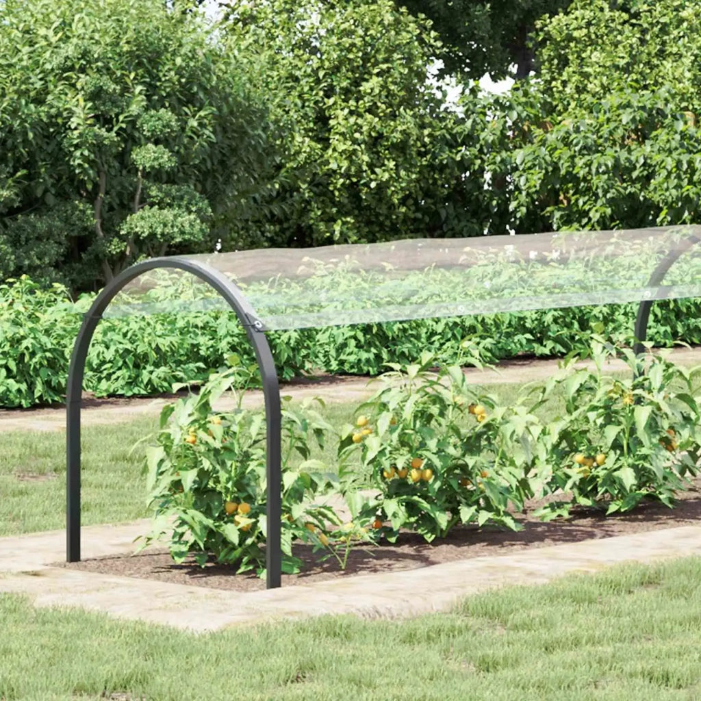 Copertura per Piante Trasparente 1 x 12 m PVC 3429345