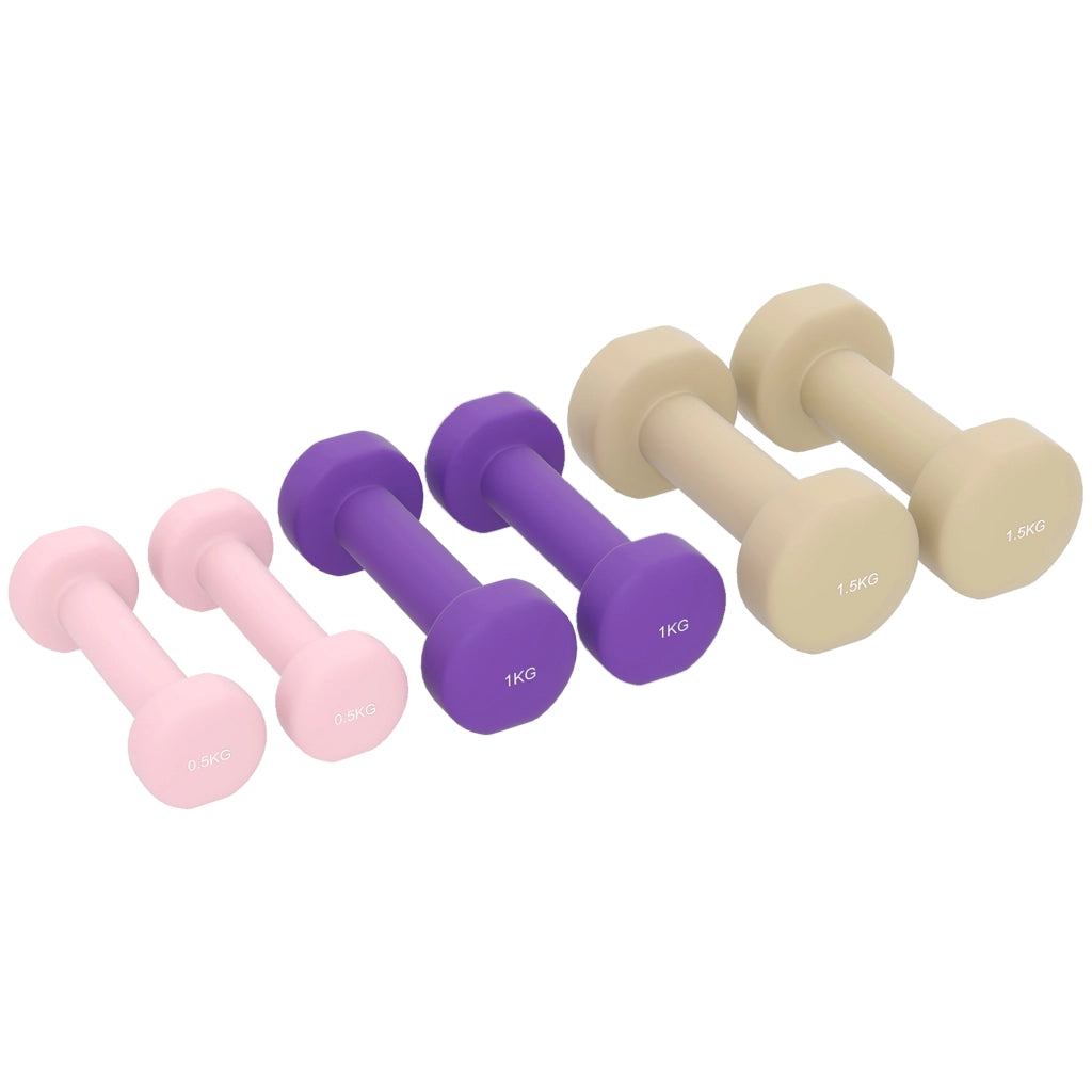 Set di Manubri Fitness da 6 kg ¨C Minimal ¨C Multicolore