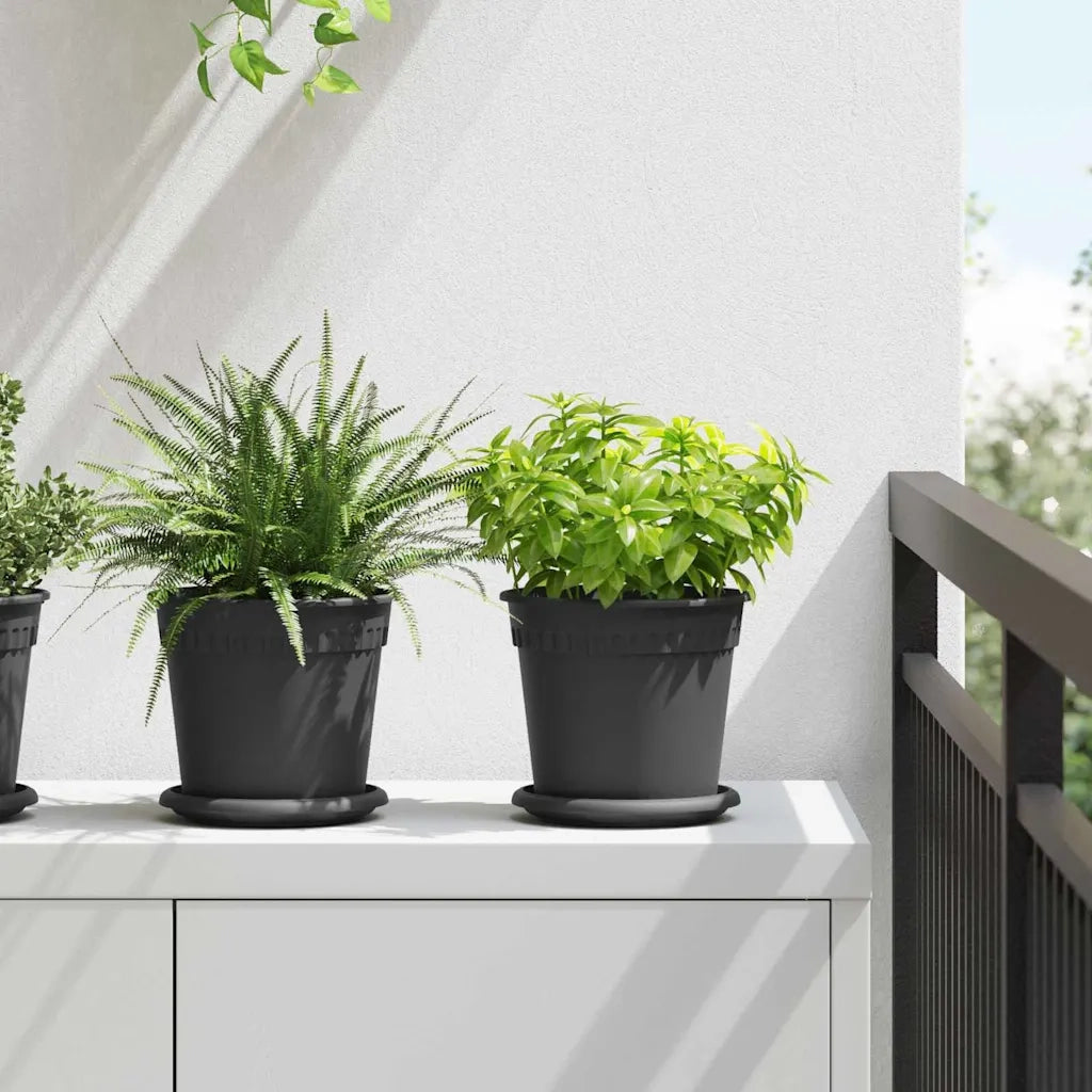 Vassoio Rotondo per Fiori 24 pcs Nero Ø 15,5 x 2 cm Plastica 42020321
