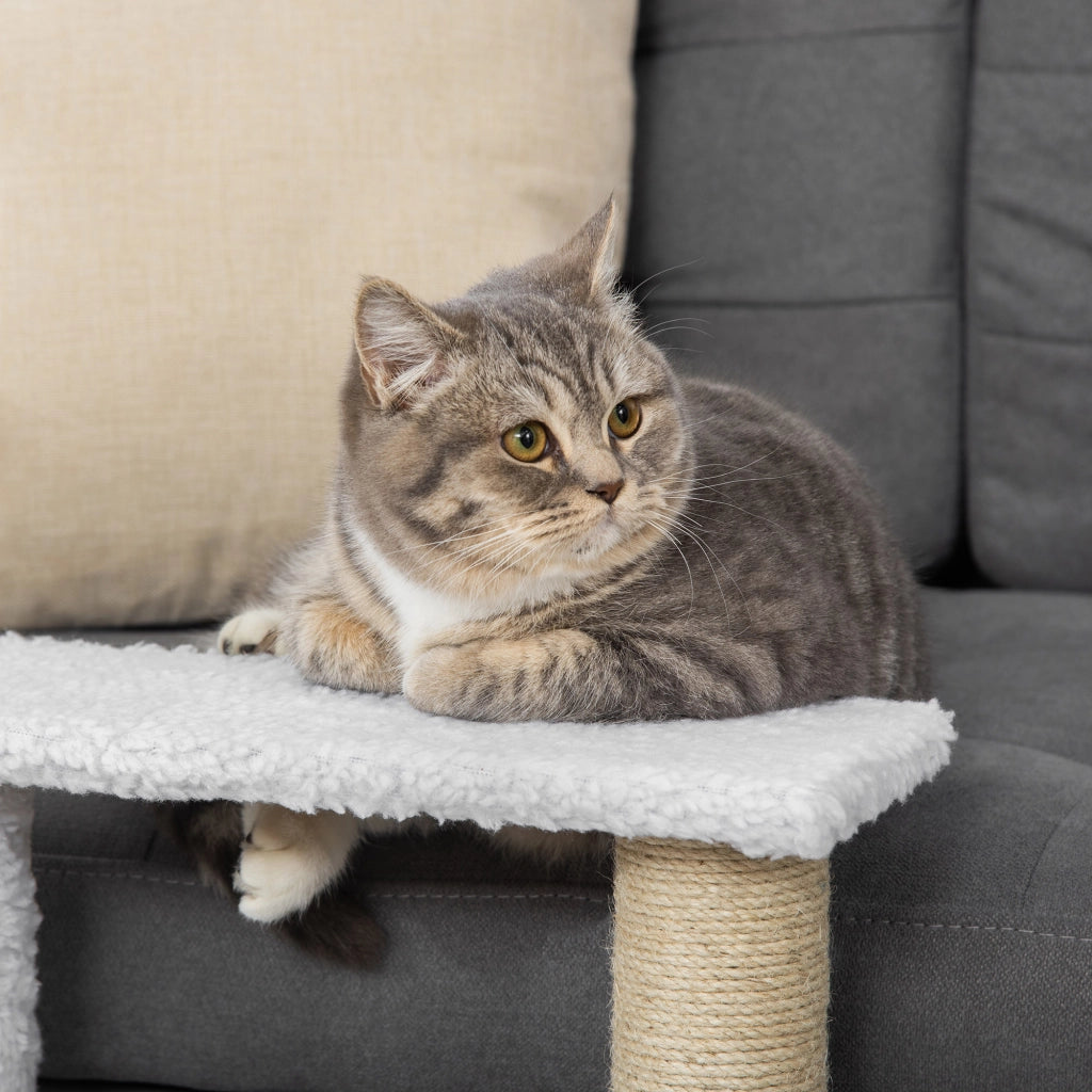 Scaletta per gatti, scaletta a 3 gradini per animali domestici con tiragraffi e palla, scaletta per cani, scaletta per gatti fino a 5 kg, in morbida