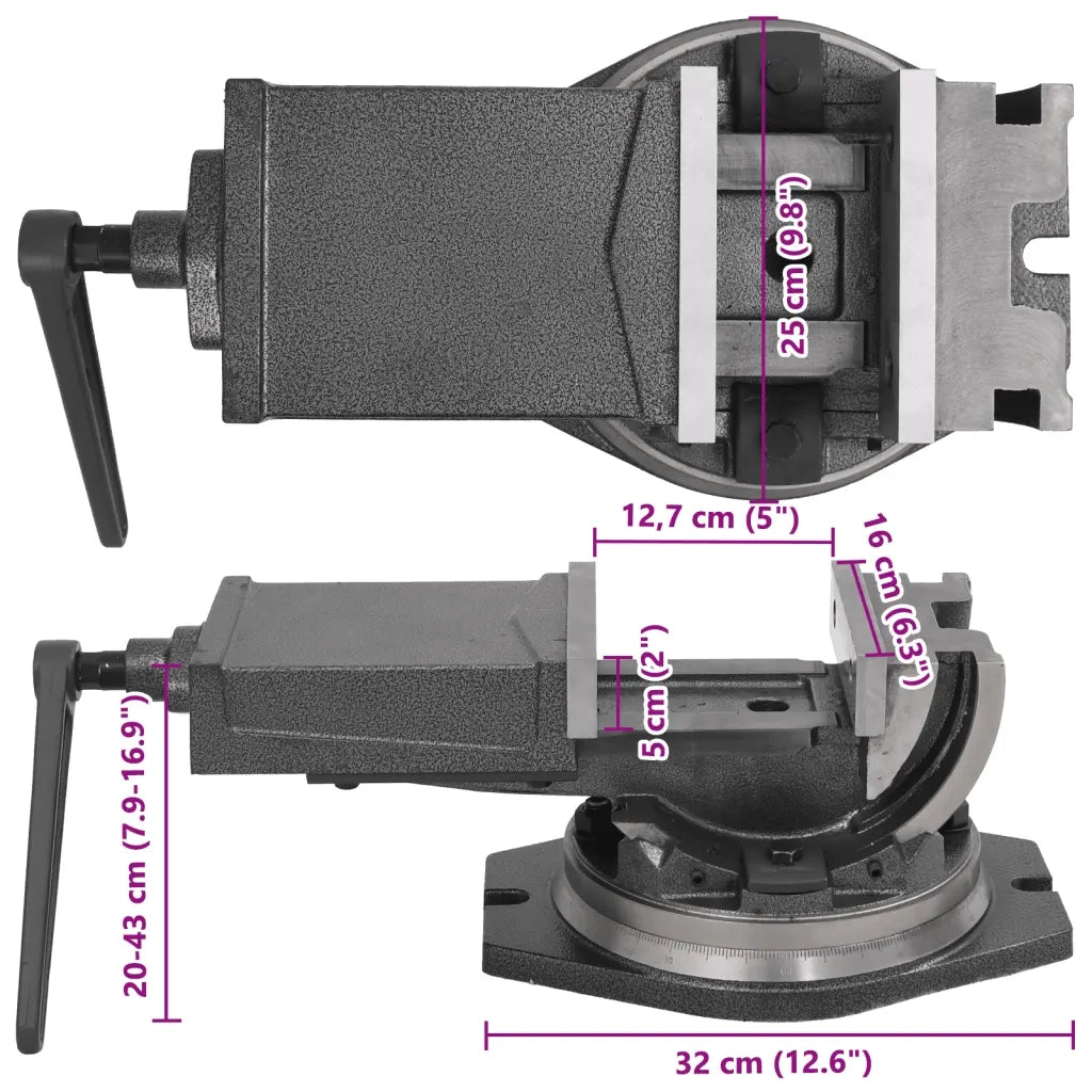 Morsa Inclinabile a 2 Assi 160 mm 145391