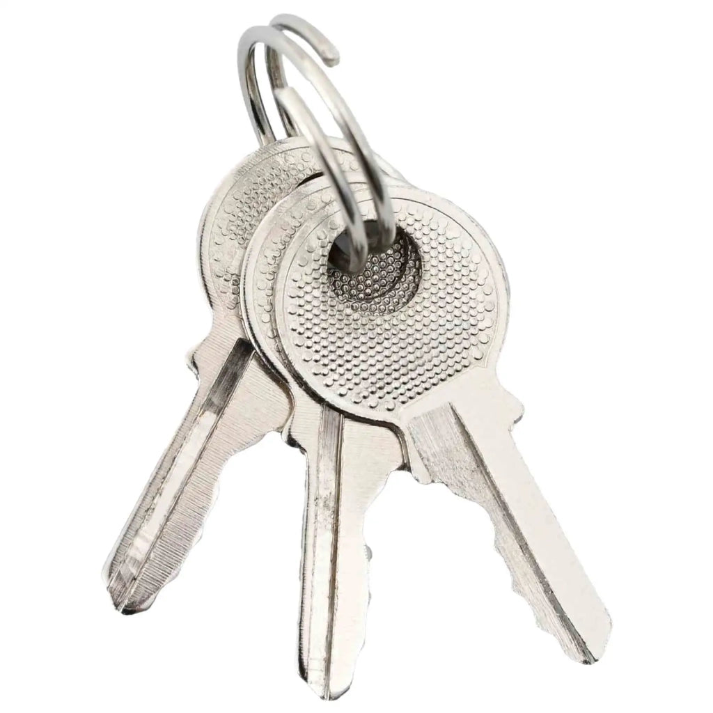 U Lock con Chiavi 2 pcs Ottone Ferro 42021906