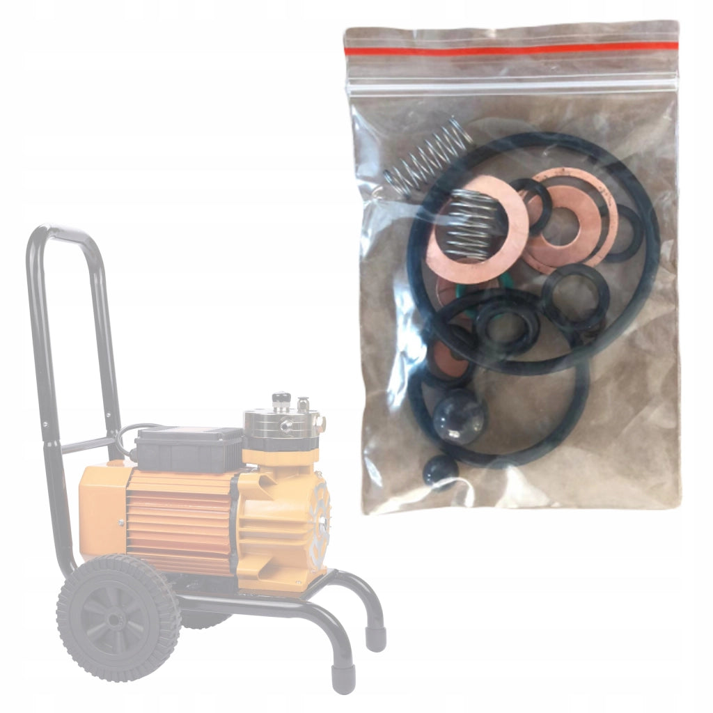 Set di Riparazione per Spruzzatori Airless a Membrana Rosfix – Guarnizioni, Sfere, Rondelle, Molle