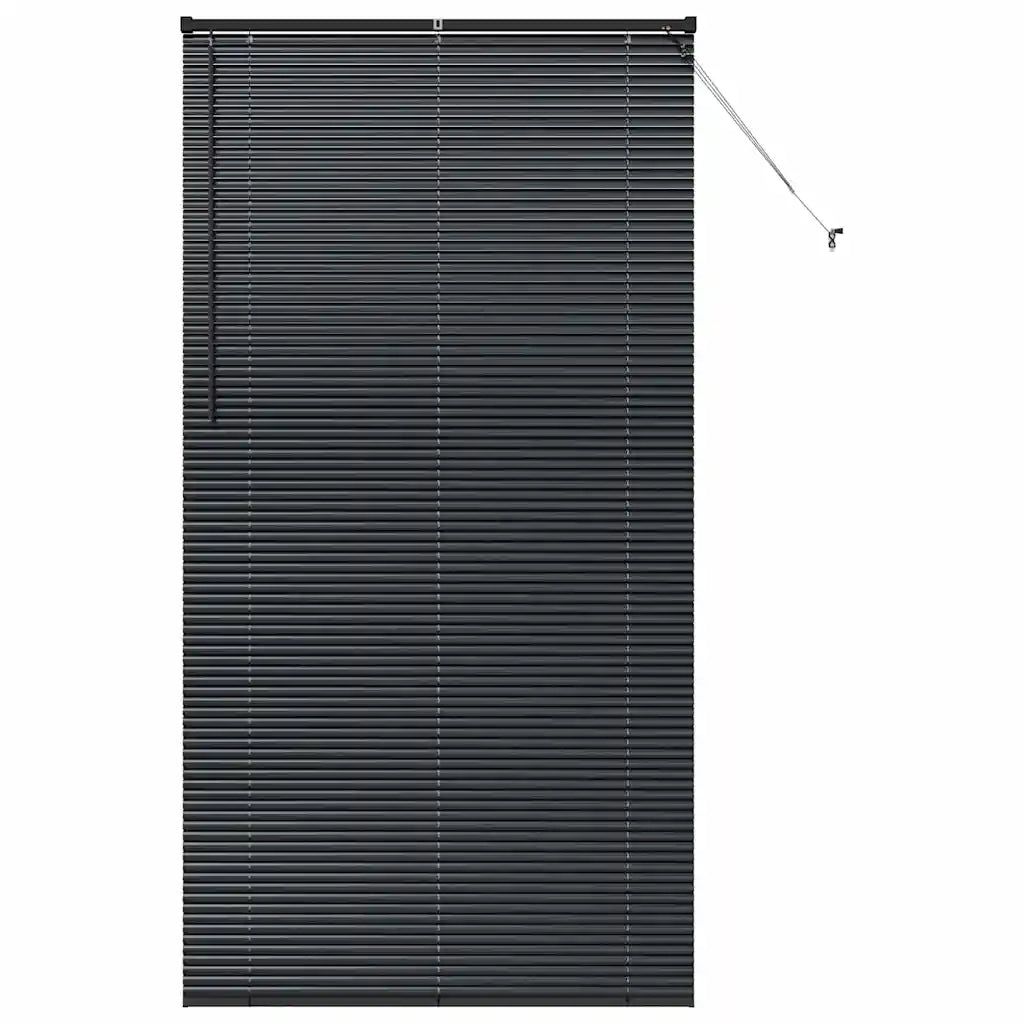 Tendaggi a Veneziana | Tenda a lamelle Nero 220 x 115 cm Alluminio