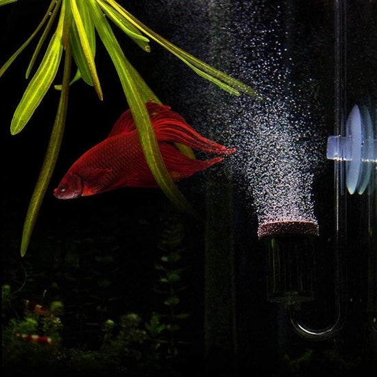 Sistema di diffusione CO2 per acquario con spirale di vetro (Modello M)