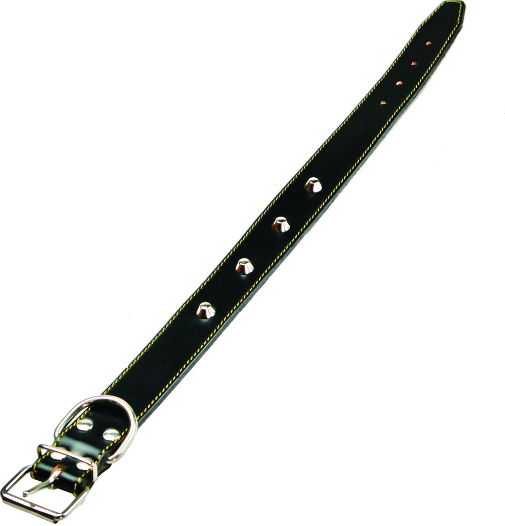 COLLARE PER CANI FODERATO CON BORCHIE 25x510 mm