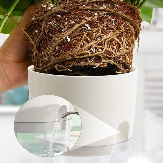 Set di tre vasi per piante, con sistema di irrigazione autonomo, per la cucina, con piastra di vetro e banco di vetro, per un giardino di erbe in casa, dimensioni 18,2 x 11 x 15,3 cm, colore bianco.