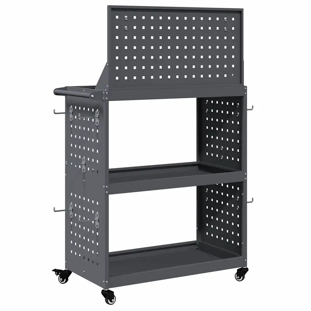 Carrello per Attrezzi con ruota Antracite 65 x 35 x 111 cm CFW1329492