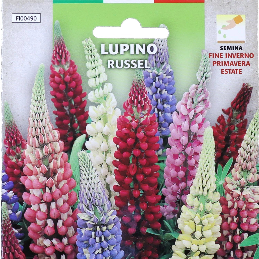 BUSTA SEMENTI FIORI LUPINO RUSSEL