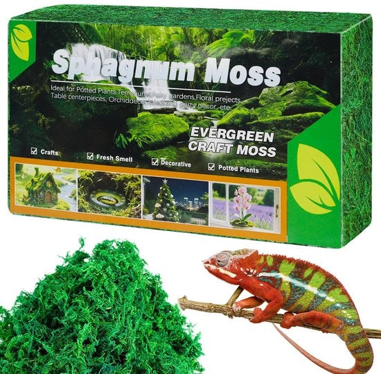 Sfagno Premio - Sfagno Donkergreene - Substrato Naturale per Reptili - Adatto per Giardini e Terrario - 100% Sfagno.