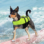 Vestone per Cani - Alta Flottabilità - Verde - M