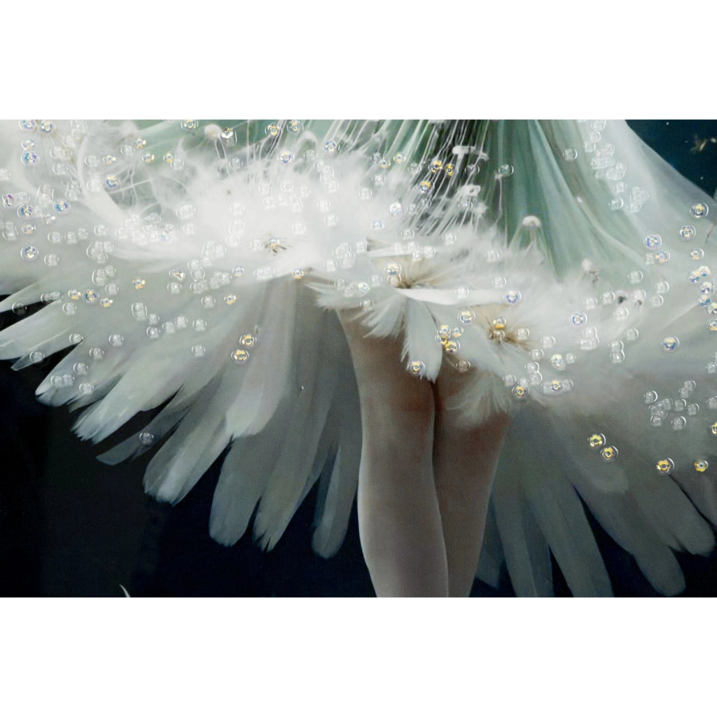 Dipinto su tela Dancing B ballerina con tarassachi, 72x102 cm